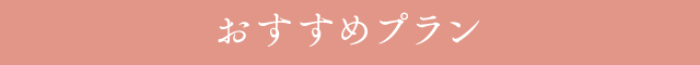 おすすめプラン